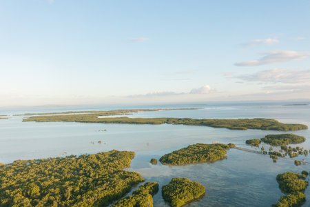Coastline with narrow waterways surrounded by dense green mangroves. Olango Island Wildlife Sanctuary in Lapu-Lapu, Philippines.の写真素材