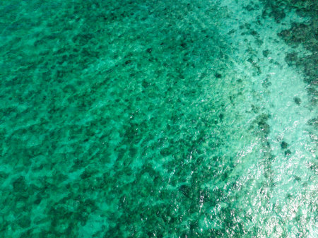 Seafloor with clear turquoise water in Boracay Island. Philippines.の写真素材