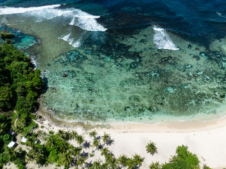 White sandy beach lined with palm trees and clear turquoise water with coral reef visible. Siargao,...