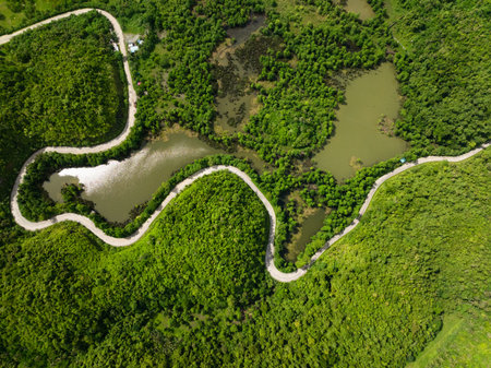 A winding concrete road follows alongside a river surrounded by dense tropical forest.の写真素材