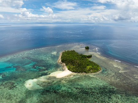 Tropical island with a white sandy beach surrounded by turquoise water and coral reef in the open...
