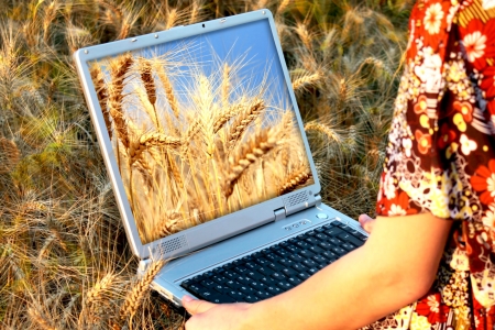 girl holding a laptop in arms in wheat chain, beautiful natureの写真素材