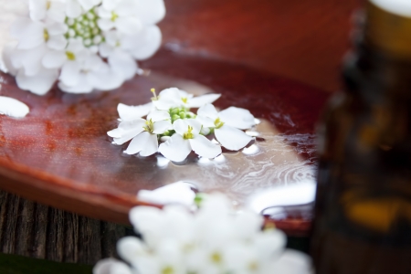 delicate white spa flowers floating on the water,spa conceptの写真素材