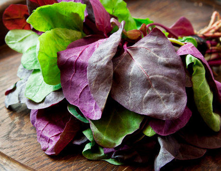 Fresh Orach Leaves, Healthy Vegetable on Wooden Background