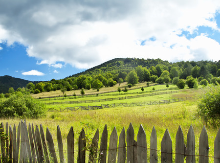 Beautiful Countryside Landscape with Bright Sky and Meadowの写真素材