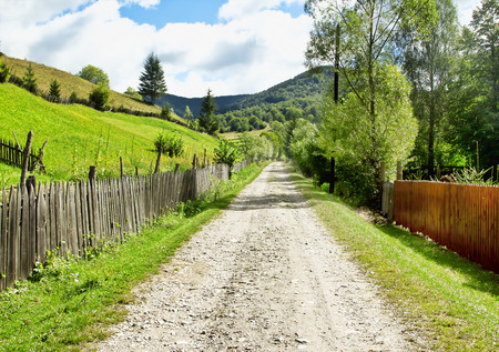 Beautiful Countryside Road with Green Grass and Treesの写真素材