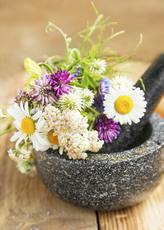 Natural Medicine with Herbs and Plants in a Mortar with Pestleの写真素材