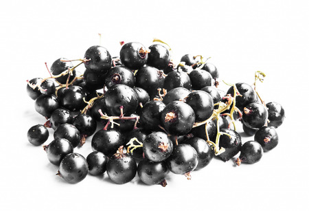 Black Currants Berry Fruits Isolated on Whiteの写真素材
