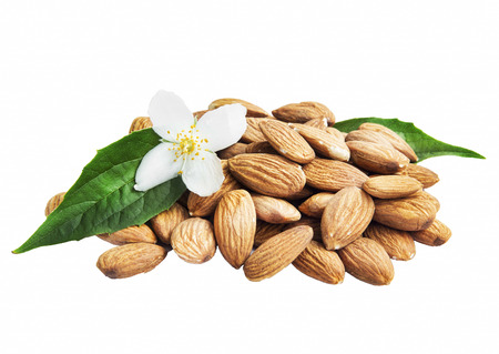 Almonds Nuts Isolated with Flower and Leafの写真素材