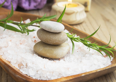 Spa Still Life Setting with Sea Salt,Spa Stones and Green Plantの写真素材
