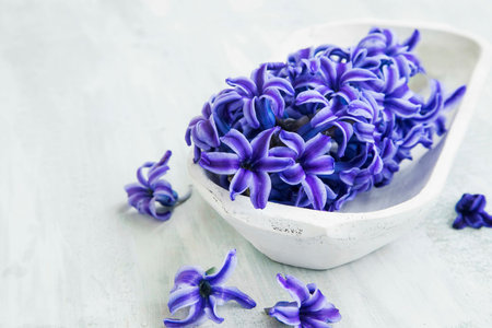 Spa setting with blue hyacinth in wooden white bowl