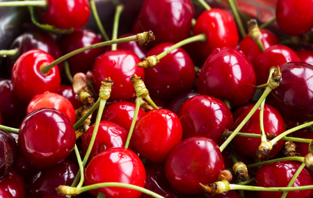 Pile of fresh cherry fruits closeupの写真素材