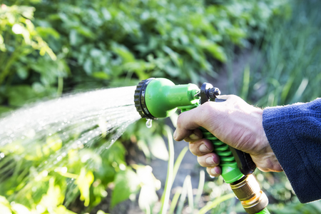 Watering the Garden. Hand holding water sprinkler watering the gardenの写真素材