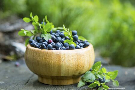 Organic blueberries fruits, fresh healthy bio berries from the forest, freshly picked , blueberries bowlの写真素材