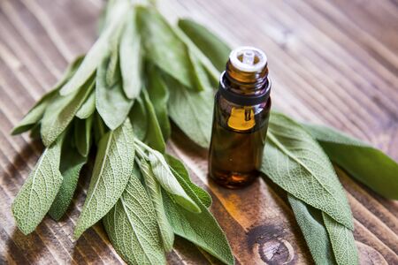 Sage essential oil with green sage leaves, selective focusの写真素材