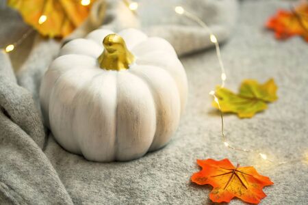 Autumn decorative pumpkin decoration with lights and leaves, fall still life pumpkinの写真素材
