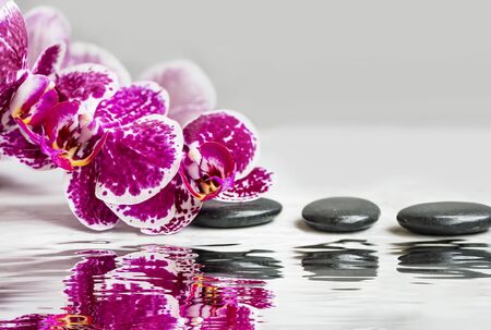Spa still life with orchid . spa and wellness setting still lifeの写真素材