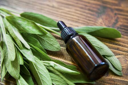 Sage essential oil with green sage leaves, selective focusの写真素材