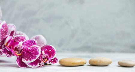 Spa still life setting with orchid flower and massage stones