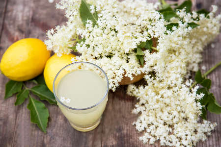 Fresh elderflower and lemon lemonade or cordial , healthy antioxidant homemade fermented juice with fresh lemons and flowersの写真素材