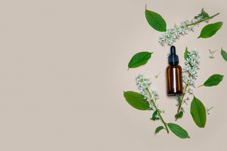 Glass bottle of Lavender essential oil with fresh lavender flowers on wooden table, aromatherapy spa massage concept. Lavendula oleumの写真素材