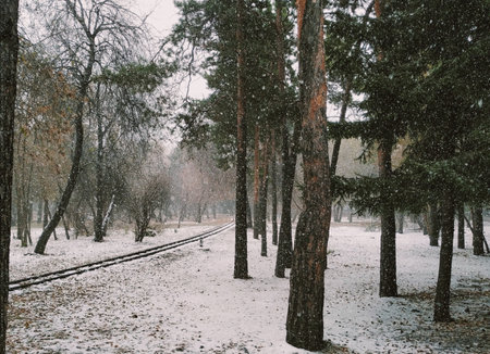 snowfall in the city park with railway tracks and trees. The beginning of winterの写真素材