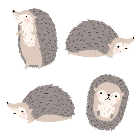 Cute cartoon hedgehog, Seth. illustration on a white backgroundの写真素材