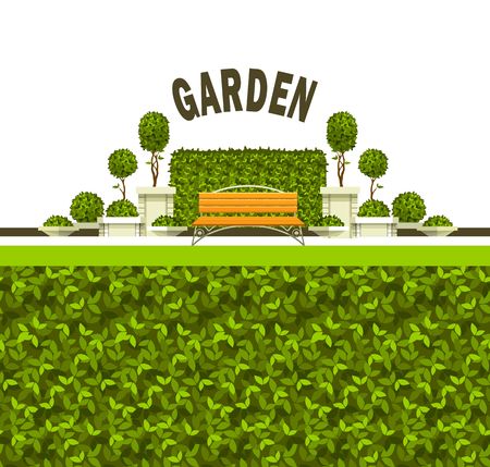 Vector illustration of a scene of a public recreation park garden plants of a bench, grass cover, boxのイラスト素材