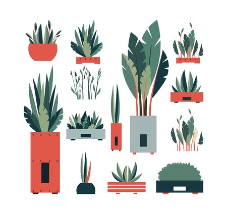 ector illustration set of decorative plant flowersのイラスト素材