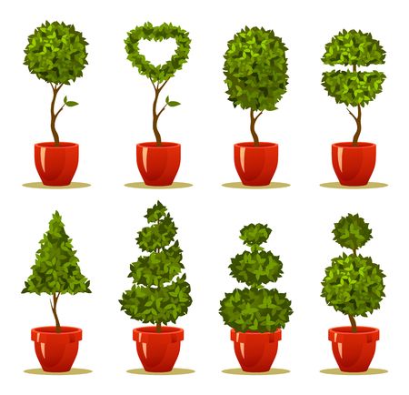 Vector illustration of a garden seedlings, a tree in a box and pot of retro postcardのイラスト素材