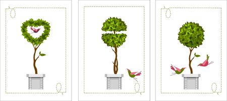 vector illustration trees in pots of topiary on a white background in a set of three greeting cardsのイラスト素材