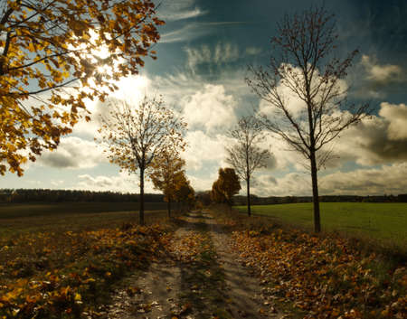 Autumn landscape with blurred background.の写真素材