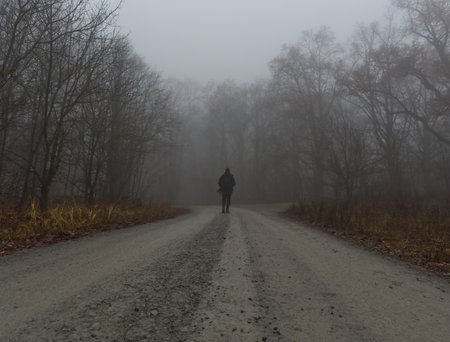 At a walk into jenaer forest at heavy fogの写真素材
