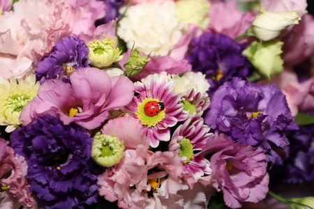 bouquet of purple and purple garden flowers with a decor in the form of a ladybugの写真素材