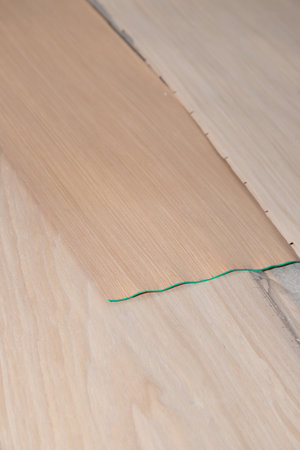 sheets of artificial veneer laid out on the surface without people