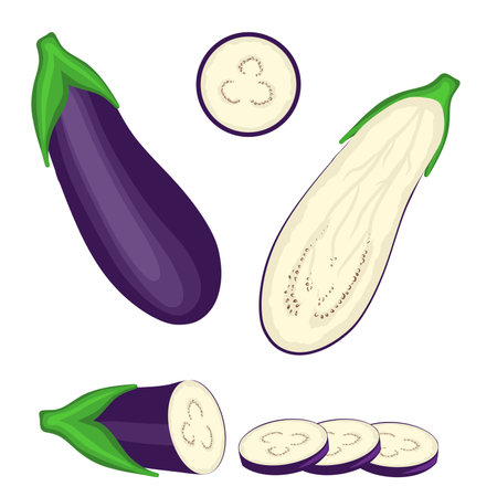 three-dimensional pattern of eggplant, eggplant cut in half, sliced into circles, isolated on a white background, vectorのイラスト素材
