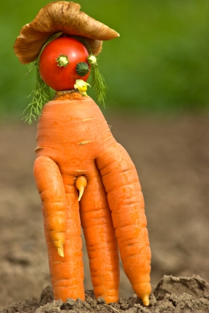 Strange carrot    の写真素材