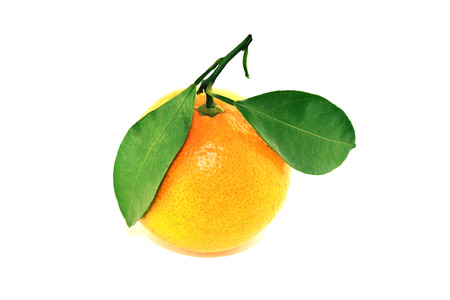 Fresh orange mandarin isolated on a white backgroundの写真素材