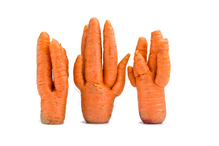 Unusual crop of carrots on white backgroundの写真素材