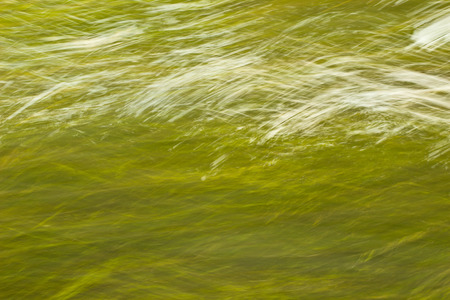 Green light abstract backgroundの写真素材