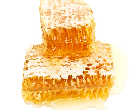 Two slices of honeycomb on a white backgroundの写真素材