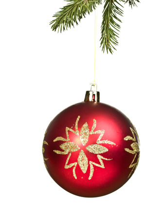 The branch of spruce and red Christmas ball on white backgroundの写真素材