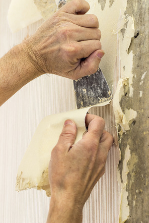 man removing old wallpaper in the roomの写真素材