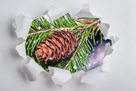 Christmas background with fir cones in the frame of torn paper on a white background