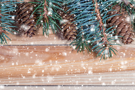 Christmas fir branches on a wooden background. Copy spaceのeditorial素材