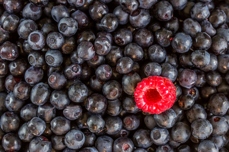 Heap of sweet fresh blueberries with one raspberry. Can be used as backgroundの写真素材