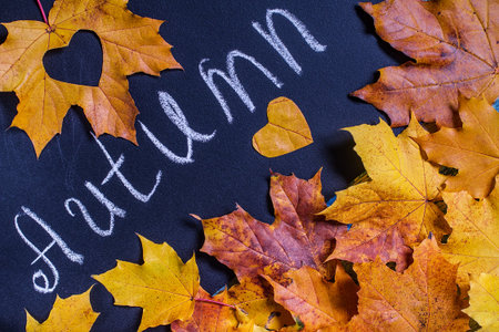 Yellow  autumn leaves  on black chalkboard background. seasonal concept