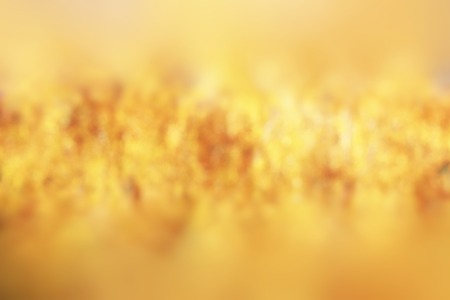Abstract yellow background. Can be used as backgroundの写真素材