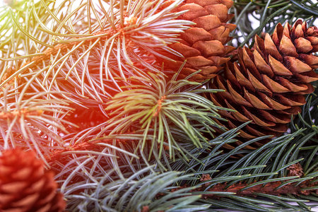 Branch with cone with falling snow. Can be used as background