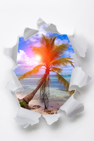 Tearing a paper frame hole to reveal palm tree and the seaの写真素材